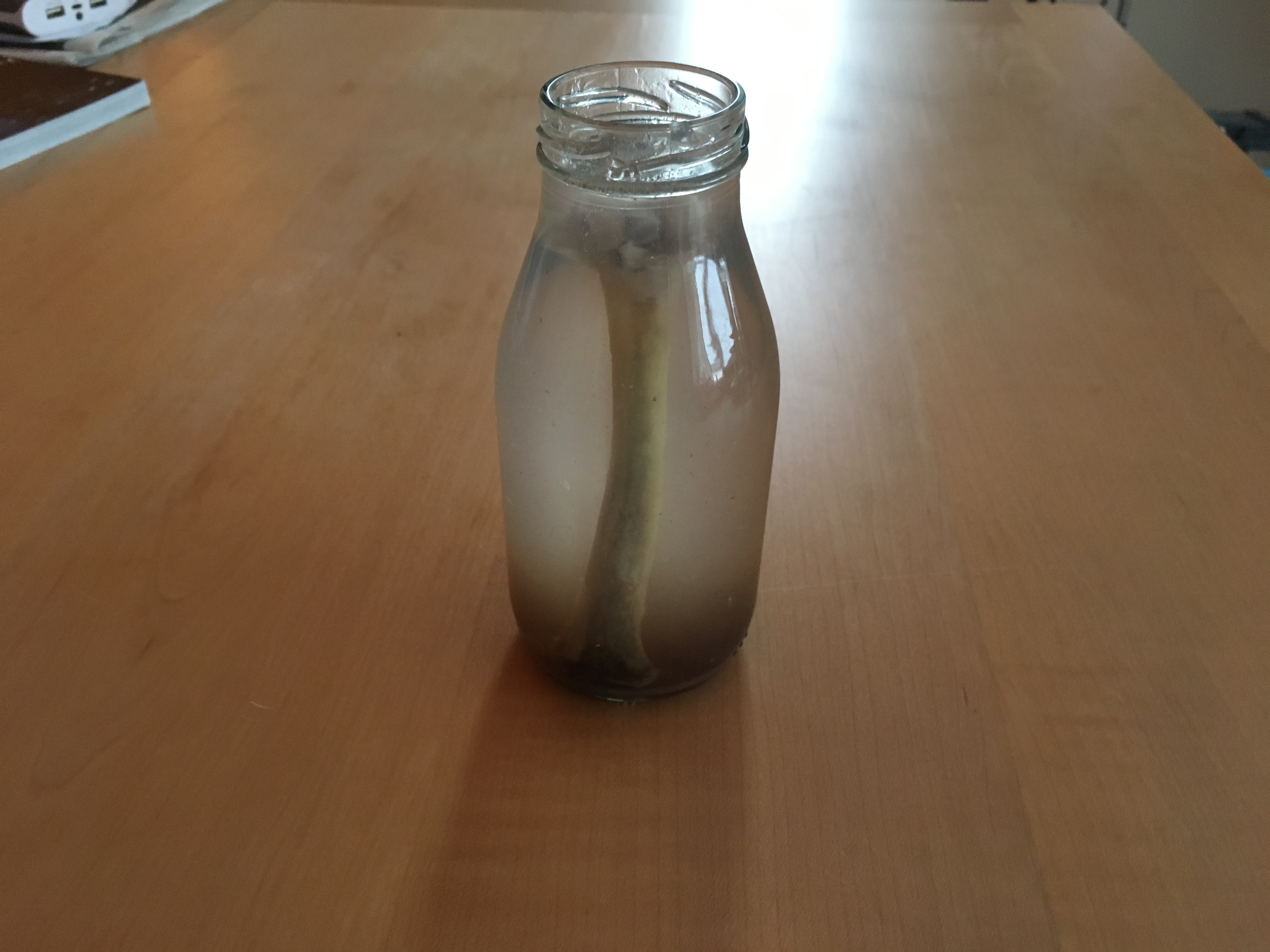 e. Lasse ihn mindestens 3 Tage im Essig liegen.