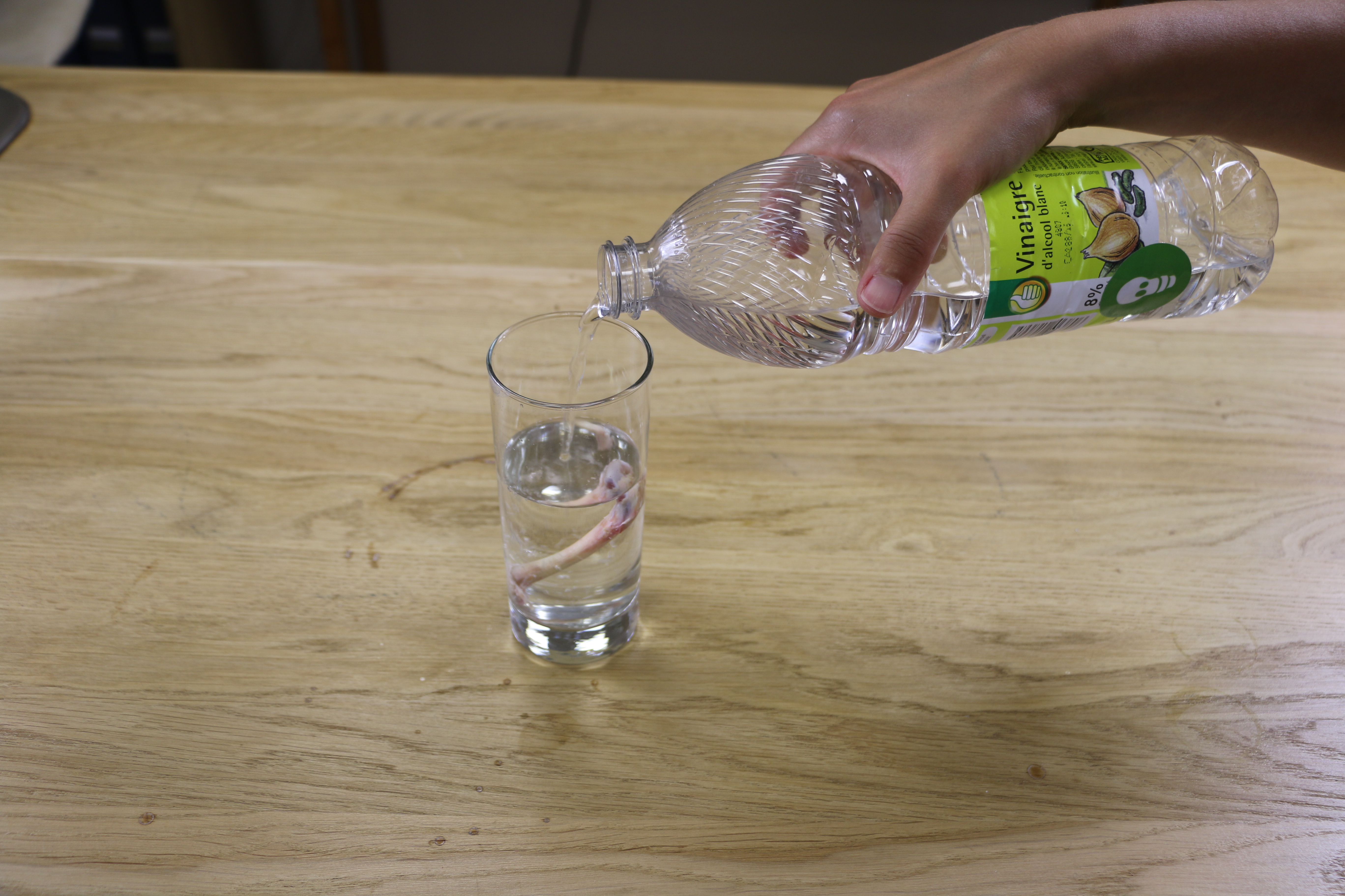 c. Lege den gesäuberten Hühnerknochen in ein gläsernes Gefäß und d. bedecke ihn mit Essig. 