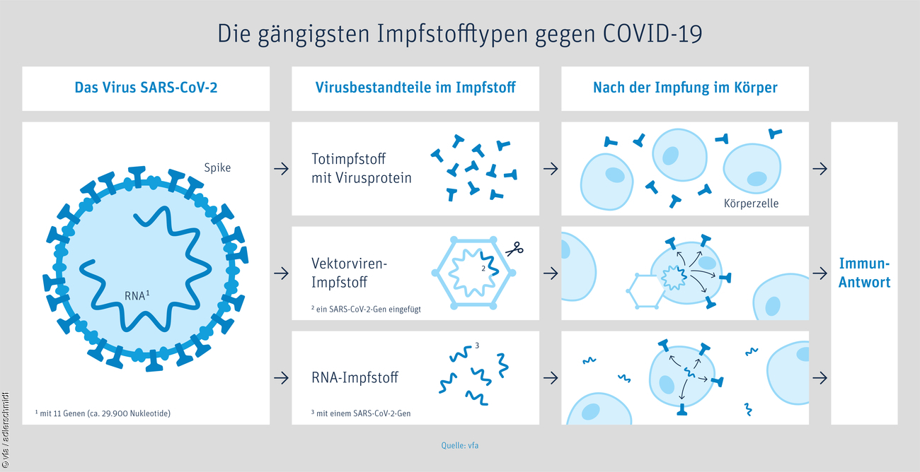 So steht es um einen Impfstoff gegen SARS-CoV-2