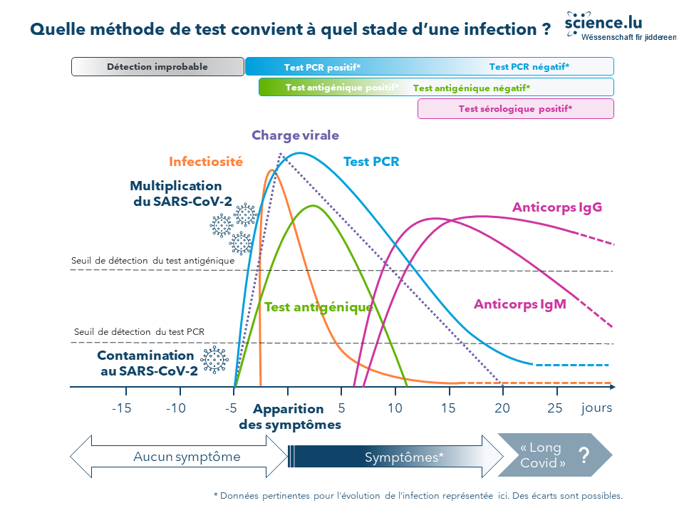 Ces tests antigéniques plus rapides mais moins fiables que les tests PCR 