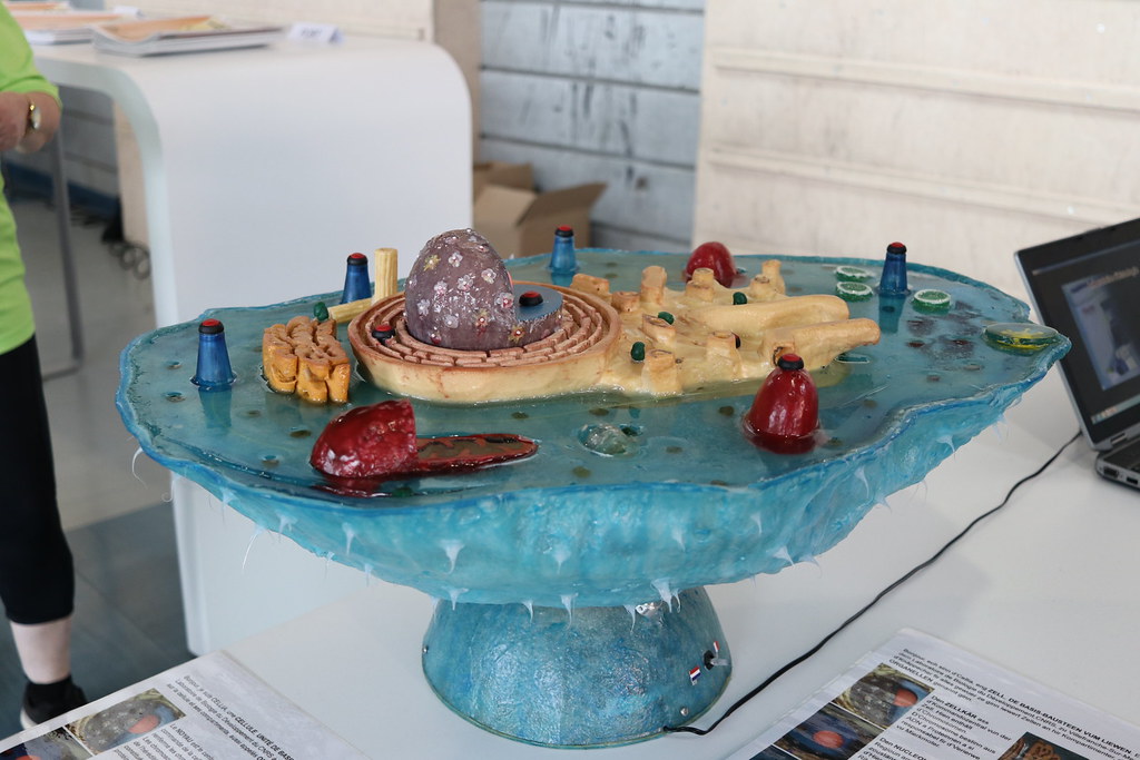 giant cell model