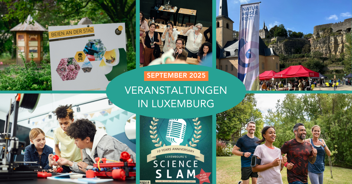 Event-Collage