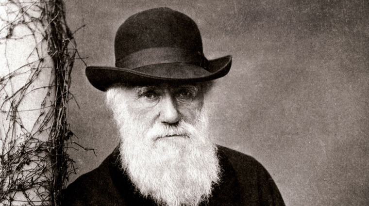 Charles Darwin et la théorie de l'évolution