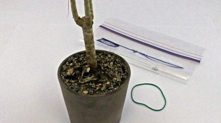 Benötigtes Material