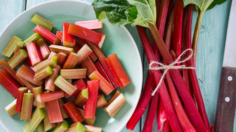 Rhubarbe