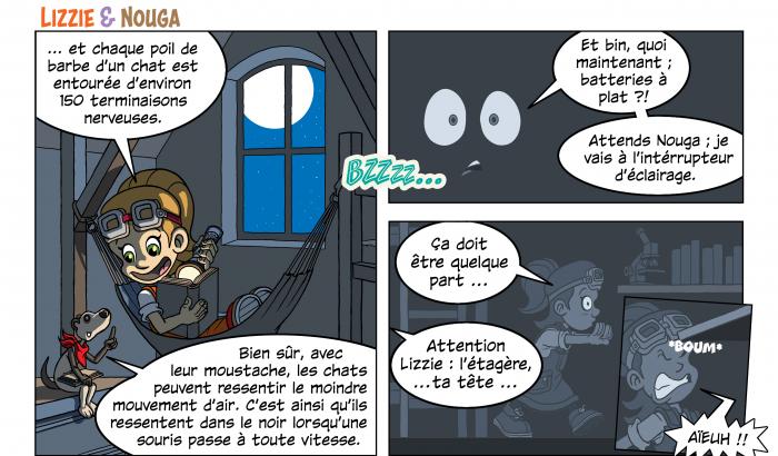 BD Lizzie Nouga animaux noctures