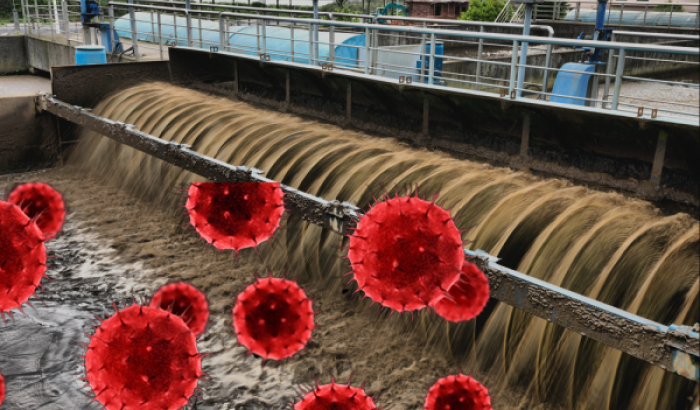 Coronaviren in Kläranlage