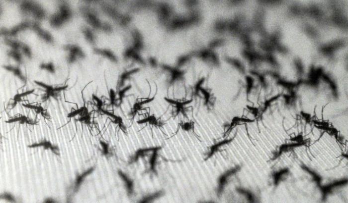 Auf die Haut aufgetragener Mückenspray soll die lästigen Blutsauger davon abhalten, zuzustechen - einer neuen Studie zufolge kann er jedoch genau das Gegenteil bewirken und auf die Insekten sogar anziehend wirken.