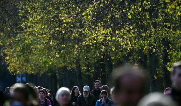 Stadtbäume können im Sommer mehr Kohlendioxid aufnehmen als Autos ausstoßen. Das fanden Forscher bei Tests in München heraus.