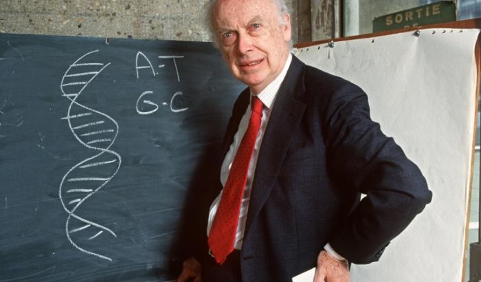 James Watson, prix Nobel de Médecine pour avoir découvert la structure moléculaire de l'ADN, photographié à Paris le 23 avril 1993