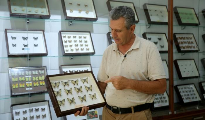 Altin Hila, agronome et collectionneur, dans son musée des papillons à Divjake, au sud-ouest de Tirana, le 27 mai 2024 en Albanie