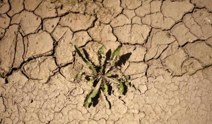 Trotz des niederschlagsreichen Jahres 2024 nimmt in Deutschland die Wasserspeicherung weiter ab. Zum Jahresende 2025 gab es ein Defizit von rund 25 Milliarden Tonnen Wasser im Vergleich zum Mittelwert seit 2002, wie Helmholtz-Forscher mitteilten.