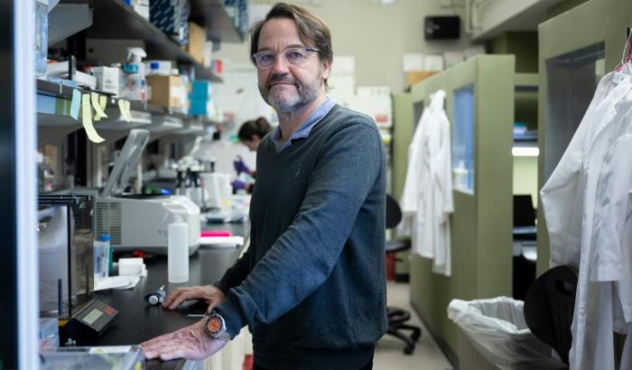Le Dr. John Tisdale dans son laboratoire aux Instituts américains pour la santé (NIH), le 8 février 2024 à Bethesda dans le Maryland