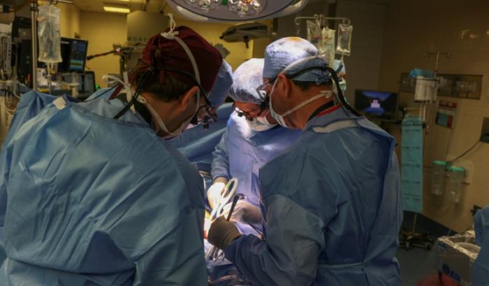 Weltweit zum ersten Mal haben Ärzte in den USA einem lebenden Patienten eine Schweineniere transplantiert.