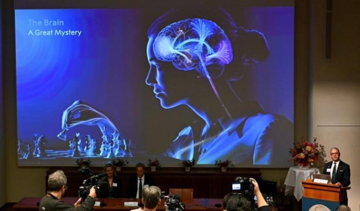 Un écran affiche une illustration du cerveau lors de l'annonce des lauréats du prix Nobel de médecine à l'Institut Karolinska de Stockholm, en Suède, le 5 octobre 2026