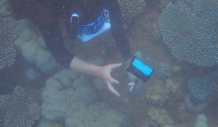 Auriane Serval, chef de projet pour la conservation des dugongs, récupère un dispositif d'échantillonnage lors d'une collecte d'ADN environnemental dans l'océan Indien, au nord de Mayotte, le 22 mai 2026