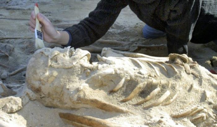 Photo d'archives datée de l'automne 2001 montrant une chercheuse examinant les squelettes des soldats napoléoniens découverts dans une fosse commune sur un chantier de construction à Vilnius, en Lituanie