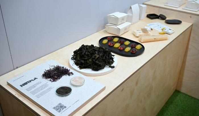 Grâce aux algues, la startup Notpla fabrique des emballages comestibles ou naturellement biodégradables