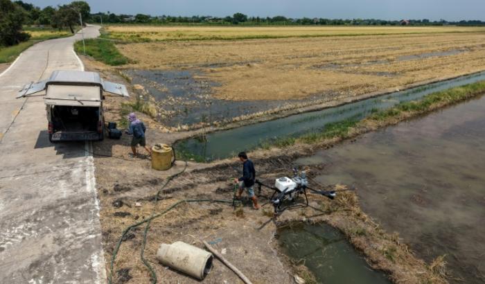 Des opérateurs de drones agricoles s'apprêtant à pulvériser des solutions microbiennes sur les chaumes d'une rizière dans la province de Pathum Thani, en Thaïlande, le 30 mars 2026