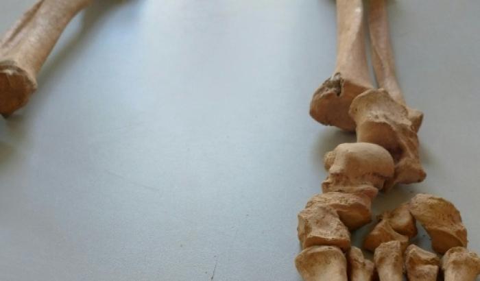 Un squelette reconstitué découvert sur un site de fouilles archéologiques à Dijon, le 17 mars 2026 en Côte d'Or