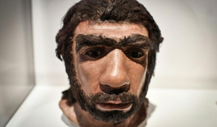 Un moulage reconstituant le visage d'un homme de Néandertal, exposé au Musée de l'Homme à Paris, le 26 mars 2018