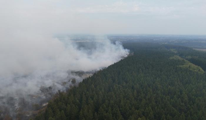 Das Ausmaß der Zerstörung durch Waldbrände könnte sich in Europa einer Studie zufolge wegen des Klimawandels in den kommenden Jahrzehnten nahezu verdreifachen.