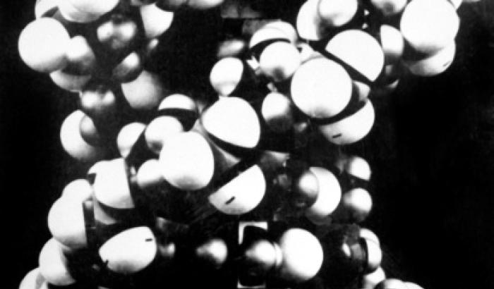 Photo de la structure de l'ADN découverte par James Watson, Francis Crick et Maurice Wilkins, qui ont obtenu le prix Nobel de Médecine en 1962