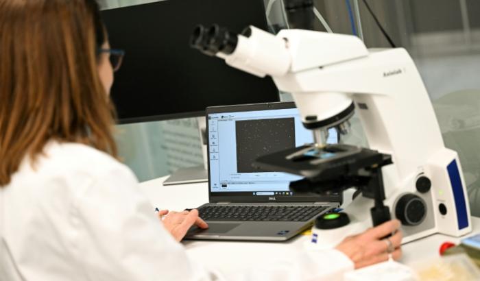 Justine O'Brien, responsable des sciences de la conservation à la Taronga Conservation Society Australia, examine des échantillons de gamètes de corail dans un laboratoire de Sydney, le 29 mai 2025 en Australie