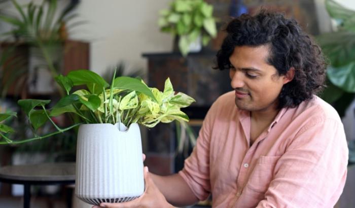 Vincent Nallatamby, directeur produit chez Google, montre sa plante Neo Px, chez lui à San Francisco, le 3 mai 2024 en Californie