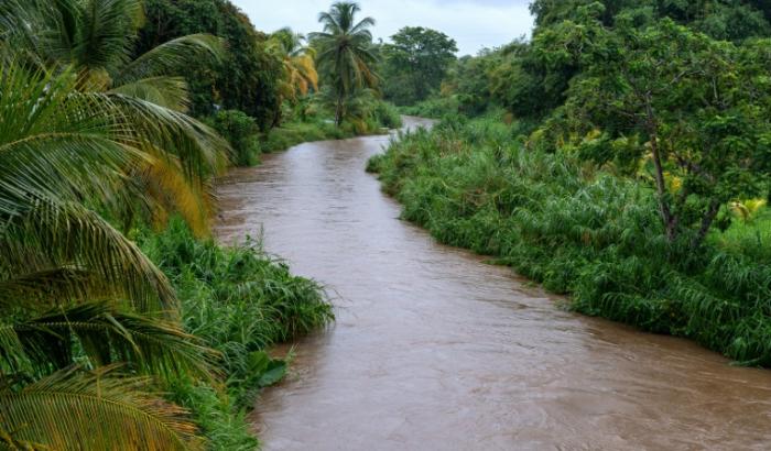 Ein kleiner weißer Skorpion, viele Insekten und Pflanzen zählen zu den mehr als 100 bislang unbekannten Arten, die Forscher im französischen Überseegebiet Guadeloupe in der Karibik entdeckt haben.