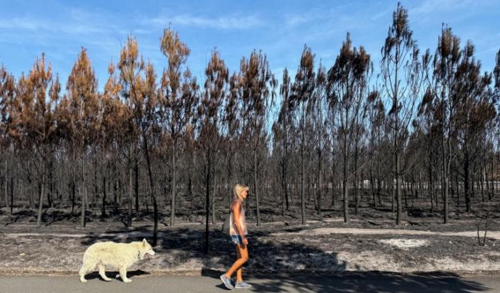 Der Juli war in Frankreich der bislang heißeste Monat seit Beginn der Temperaturaufzeichnungen vor mehr als 125 Jahren. Die Durchschnittstemperatur lag bei 24,9 Grad Celsius.