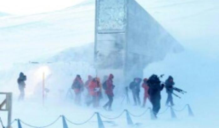 Die Ukraine hat erstmals seit 2012 wieder Saatgut im arktischen Saatgut-Tresor auf Spitzbergen eingelagert. Nach Angaben des norwegischen Landwirtschaftsministeriums wurden 773 Proben deponiert, darunter Sonnenblumen, Getreide und Buchweizen.