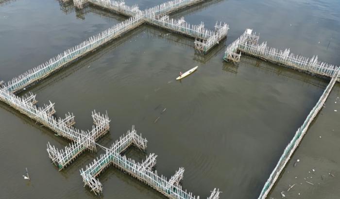 Des pièges à sédiments en bambou à Malolos, aux Philippines, le 13 octobre 2026