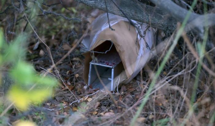 Une cage déposée pour piégéer des rongeurs dans diverses zones boisées autour de la ville touristique d'Ushuaïa, dont le Parc national de la Terre de Feu, le 18 mai 2026