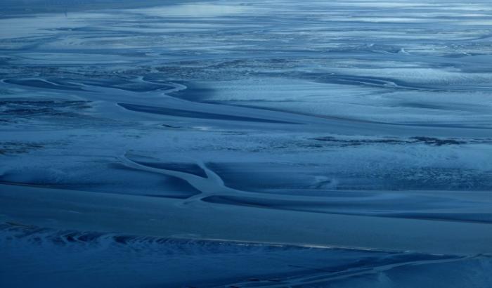 Ein Forschungsteam hat fünf neue winzige Krebsarten in der Nordsee entdeckt. Die Tierchen gehören zur Gattung Leptastacus und sind mit weniger als einem Millimeter extrem klein, wie die Senckenberg Gesellschaft für Naturforschung berichtete.