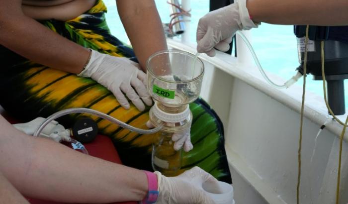 Des scientifiques collectent des échantillons d'eau dans la partie nord du lagon de Mayotte, le 24 février 2026