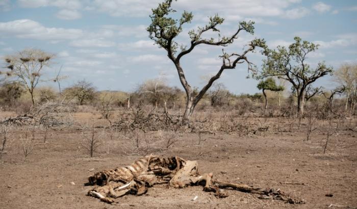 Vom Menschen verursachte Treibhausgasemissionen treiben das gemeinsame Auftreten von Hitzewellen und Dürren an.