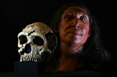 Neandertaler haben bereits vor rund 125.000 Jahren die Gewinnung von Fett aus Knochen perfektioniert. Das zeigen Funde der Ausgrabungsstätte Neumark-Nord im Geiseltal in Sachsen-Anhalt.