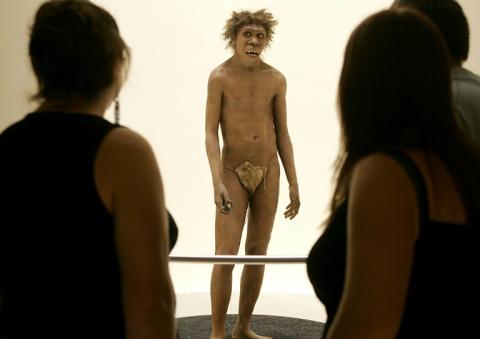 Reconstitution d'un "Homo erectus", le 19 juillet 2004 au musée de la Préhistoire, aux Eyzies-de-Tayac (Dordogne)