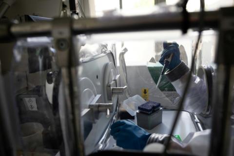 Une biologiste prépare des échantillons d'agents pathogènes dans un système de filtration de l'air à la Cellule d'intervention biologique d'urgence (CIBU) de l'Institut Pasteur, le 23 avril 2024 à Paris