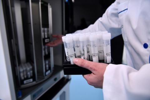 Des échantillons de salive dans le laboratoire d'analyse de l'endométriose Ziwig à Tercis-les-Bains, dans le département des Landes, le 25 mars 2024