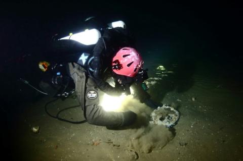 Image diffusée par l'association américain Atlantic Wreck Salvage d'un plongeur écartant le sable pour révéler un œil-de-bœuf utilisé dans le gréement des voiles du navire français le Lyonnais coulé en 1856, le 24 août 2024 au large de New Bedford, dans le Massachusetts