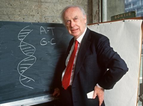 James Watson, prix Nobel de Médecine pour avoir découvert la structure moléculaire de l'ADN, photographié à Paris le 23 avril 1993