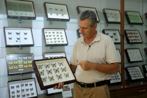 Altin Hila, agronome et collectionneur, dans son musée des papillons à Divjake, au sud-ouest de Tirana, le 27 mai 2024 en Albanie