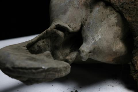 Des scientifiques procèdent à une nécropsie sur Iana, un mammouth femelle de 130 000 ans, à Iakoutsk, le 27 mars 2025 dans l'Extrême-Orient russe