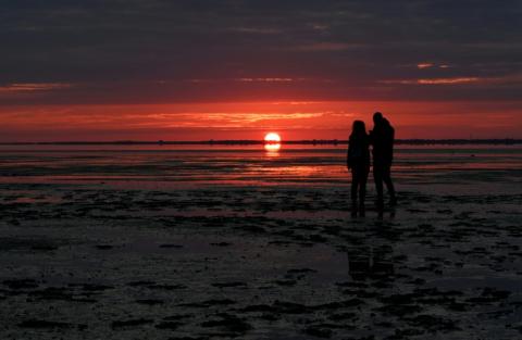 Die Sommermonate waren in der Nord- und Ostsee deutlich zu warm. Das teilte das Bundesamt für Seeschifffahrt und Hydrographie (BSH) am Montag in Hamburg mit. Es warnte vor den Folgen für die Umwelt.