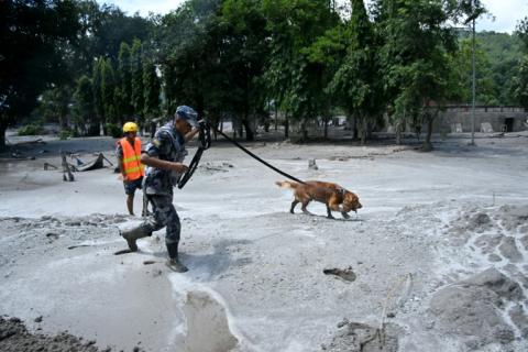 Un membre des forces de sécurité et son chien de recherche de survivants fouillent les lieux à la suite des crues soudaines survenues à Trishuli, dans le district de Nuwakot au Népal, le 27 août 2026.