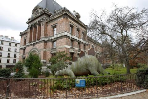 Le Muséum national d'histoire naturelle, à Paeris le 8 décembre 2009