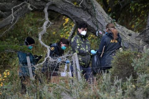 Des scientifiques récupèrent des rongeurs piégés près d'Ushuaia, en Argentine, le 18 mai 2026