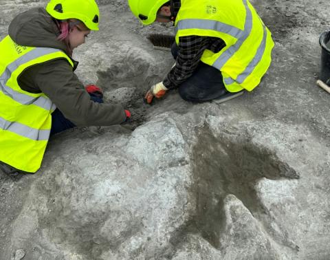 Photo des membres de l'équipe de fouilles travaillant sur les empreintes dans la carrière de Dewars Farm, dans le centre de l'Angleterre, le 17 juin 2024, publiée par l'Université d'histoire naturelle d'Oxford le 2 janvier 2025